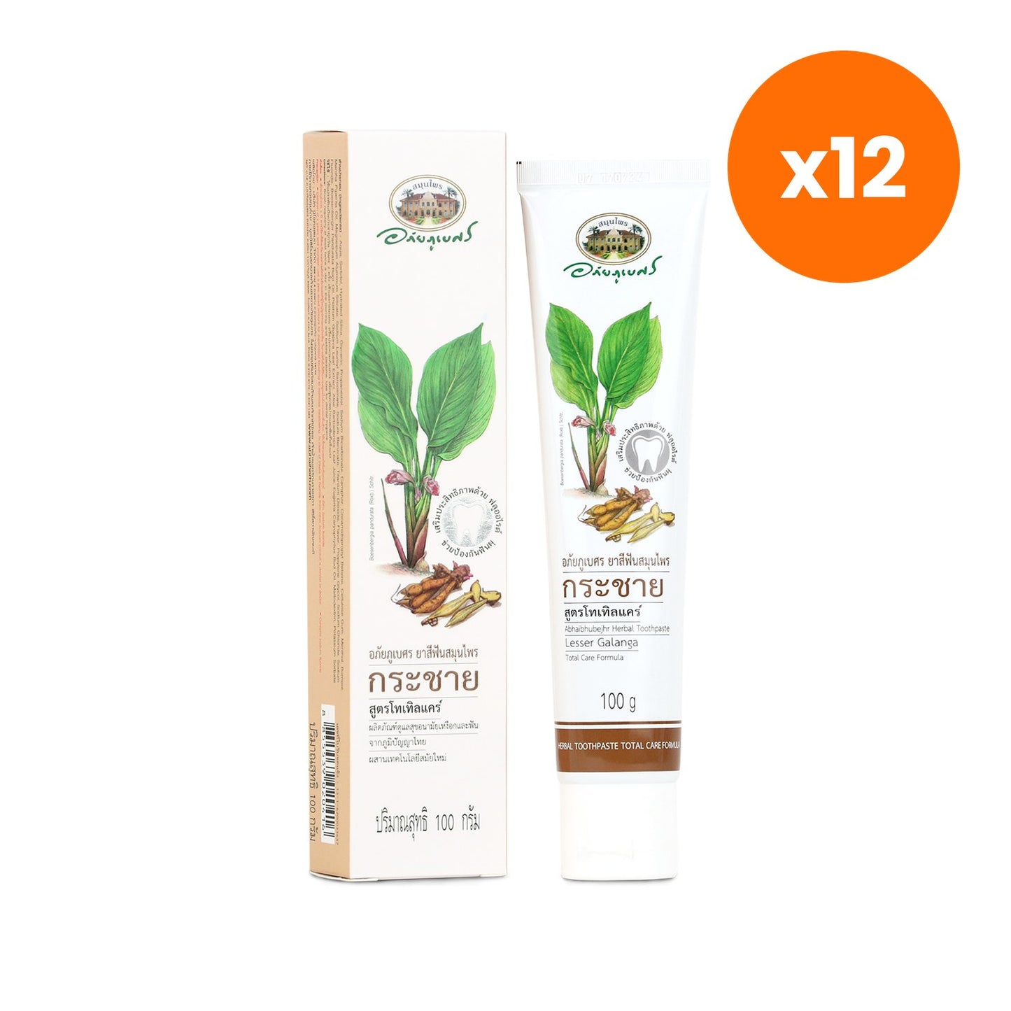 Abhaibhubejhr Fingerroot Herbal Toothpaste Breath Freshener 100 g