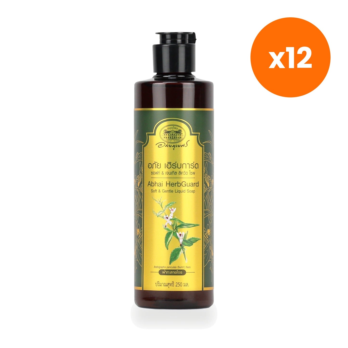 Abhaibhubejhr Herbguard Soft and Gentle Liquid Soap 250 ml