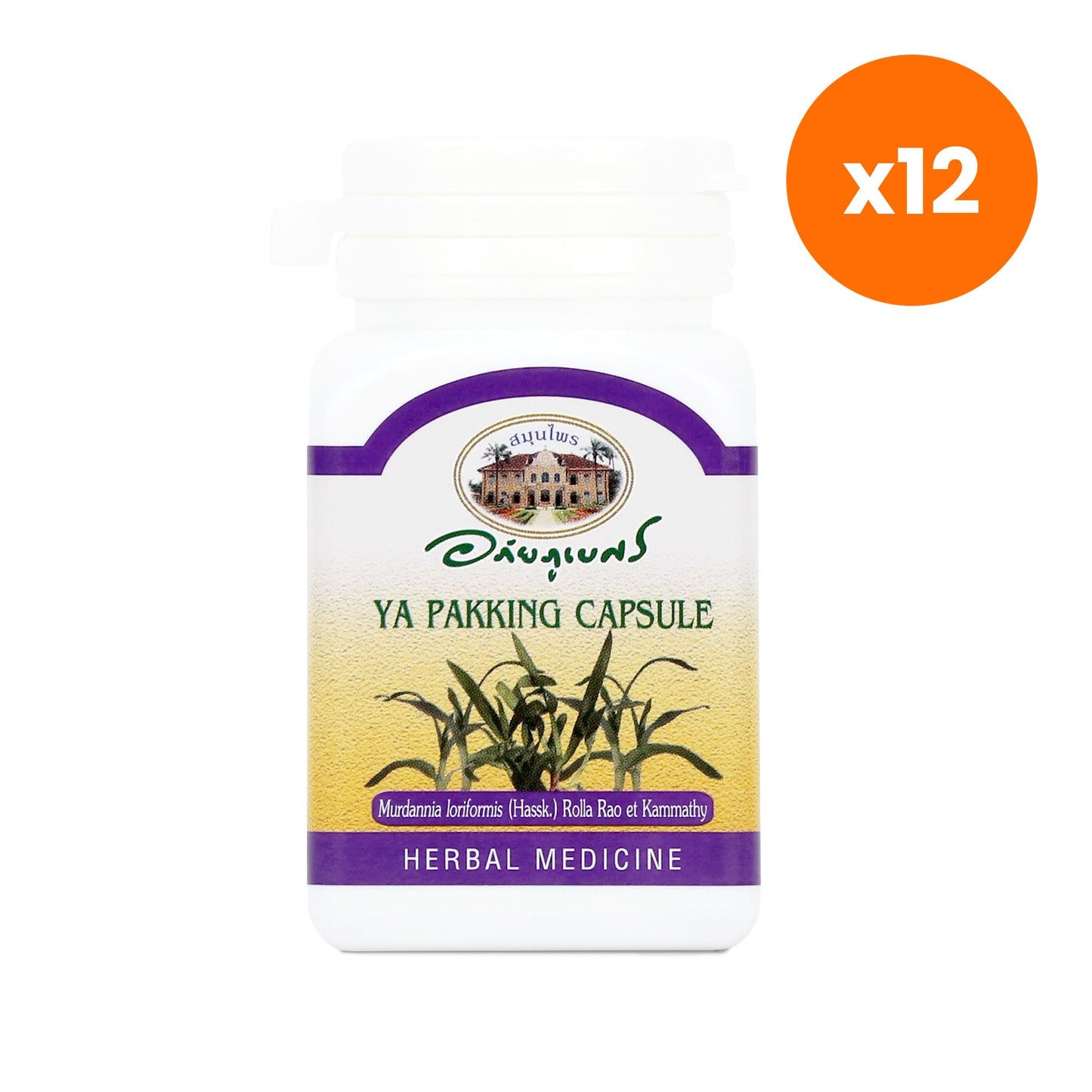 Abhaibhubejhr Murdannia Loriformis Capsules Cooling 70 Capsules