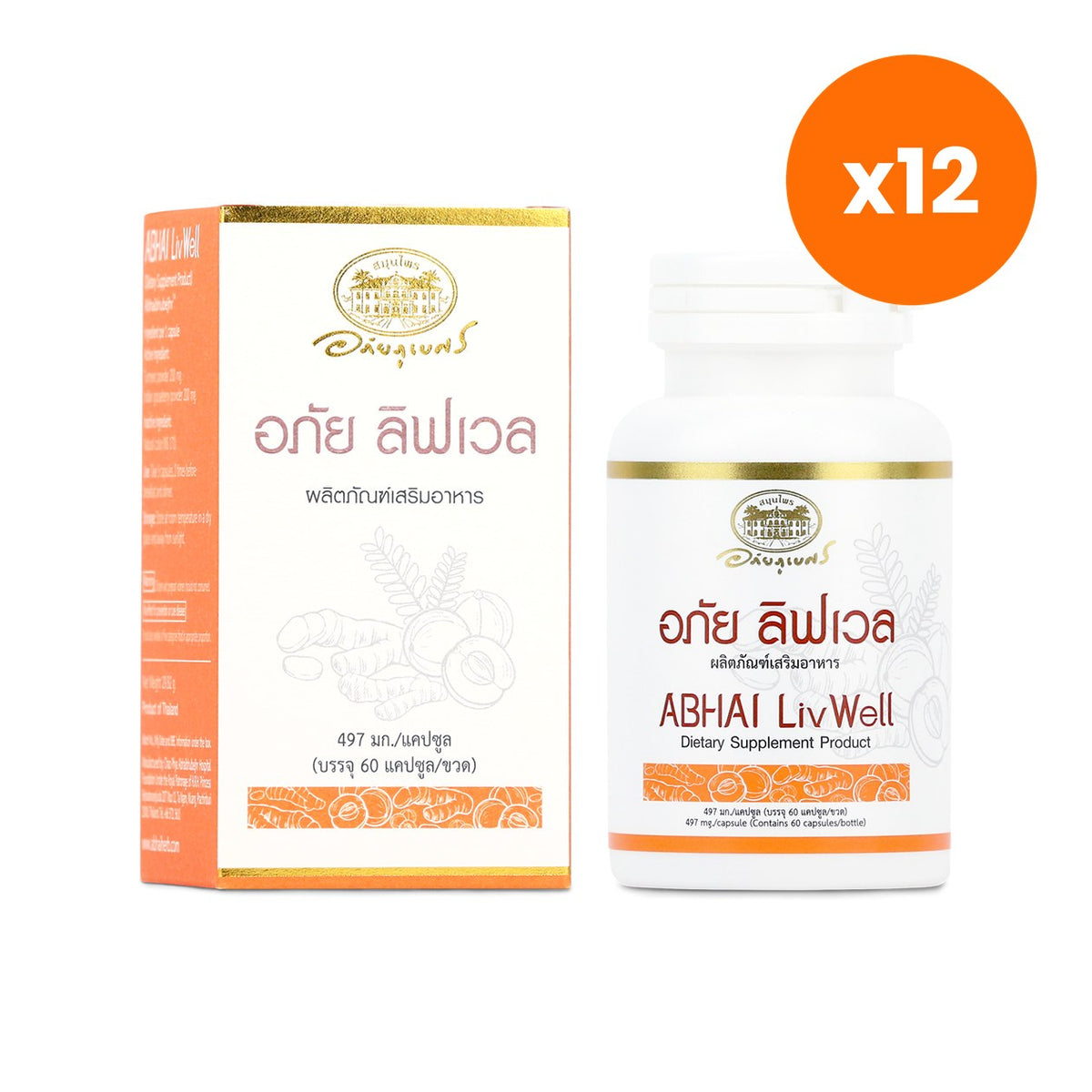 Abhaibhubejhr Turmeric Amla Capsules 60 Capsules