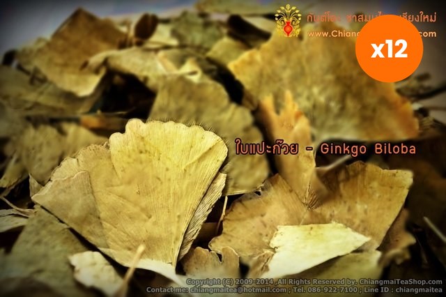 Chiang Mai Tea Ginkgo Biloba Herbal Tea 1 kg