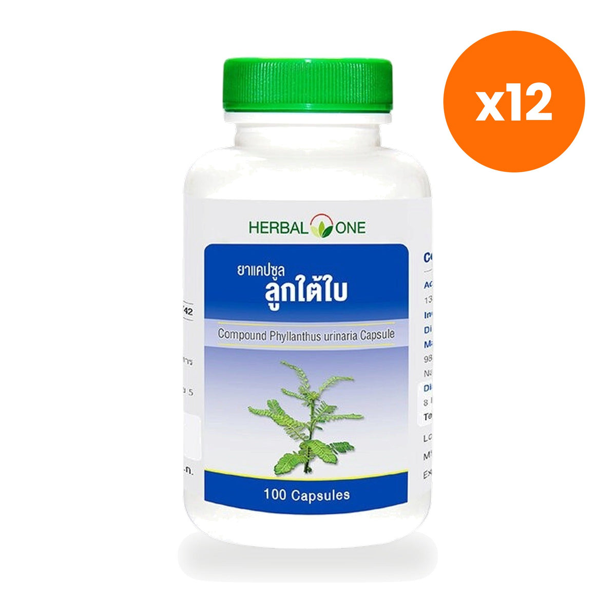 Herbal One Chanca Piedra Capsules 135mg 100 Capsules