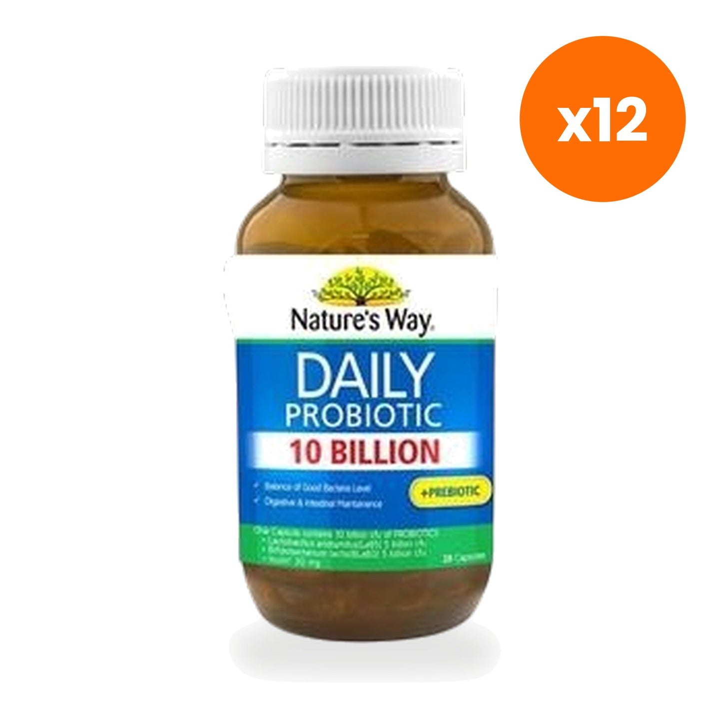 Nature's Way Daily Probiotic Capsules for Digestive Comfort 28 Capsules