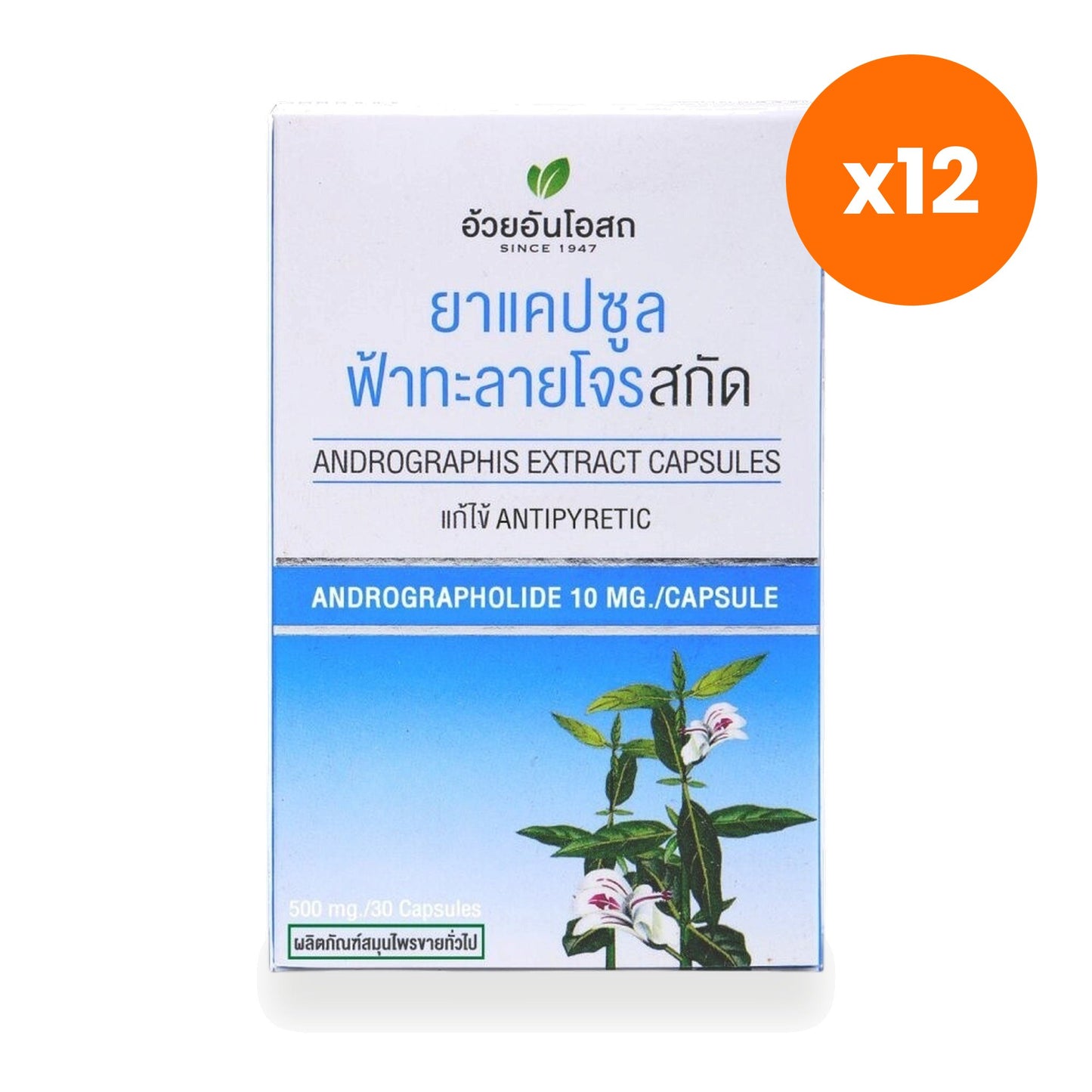 Ouay Un Osoth Andrographis 200mg 10mg Andrographolide for Cooling Herbal Support 30 Capsules