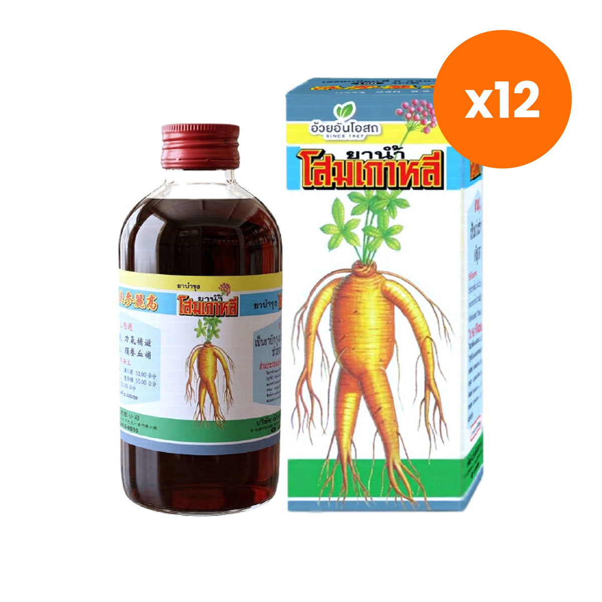 Ouay Un Osoth Korean Ginseng Tonic Oral Liquid 1 Bottle