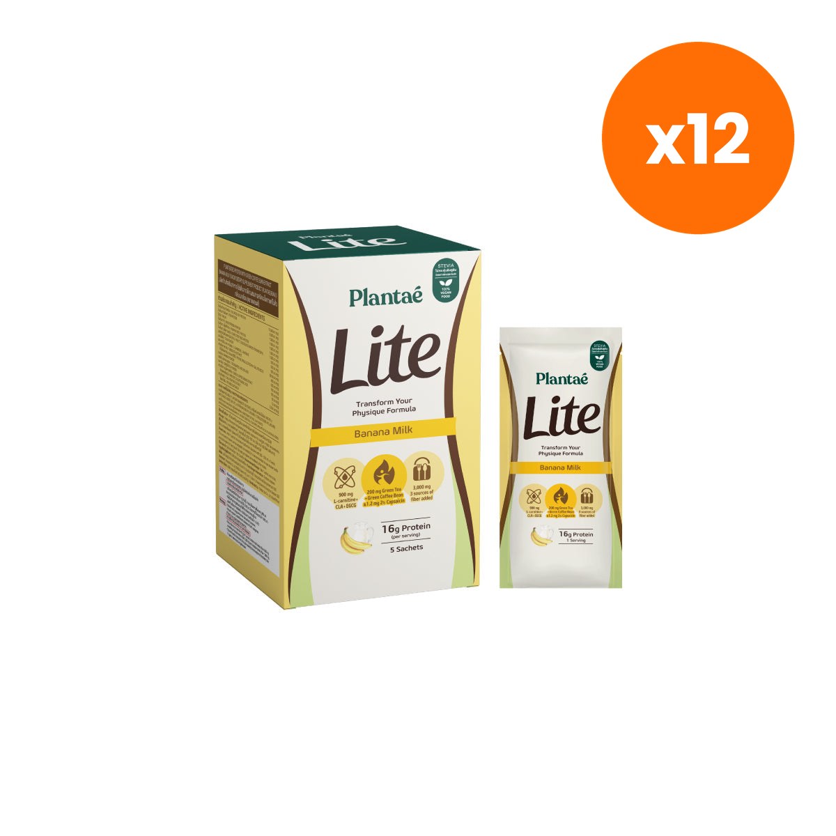 Plantae Lite Protein Banana Milk Plant Based Powder Box for Weight Management