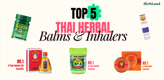 Famous Thai Herbal Inhalers: A Guide to Thailand’s Iconic Ya Dom