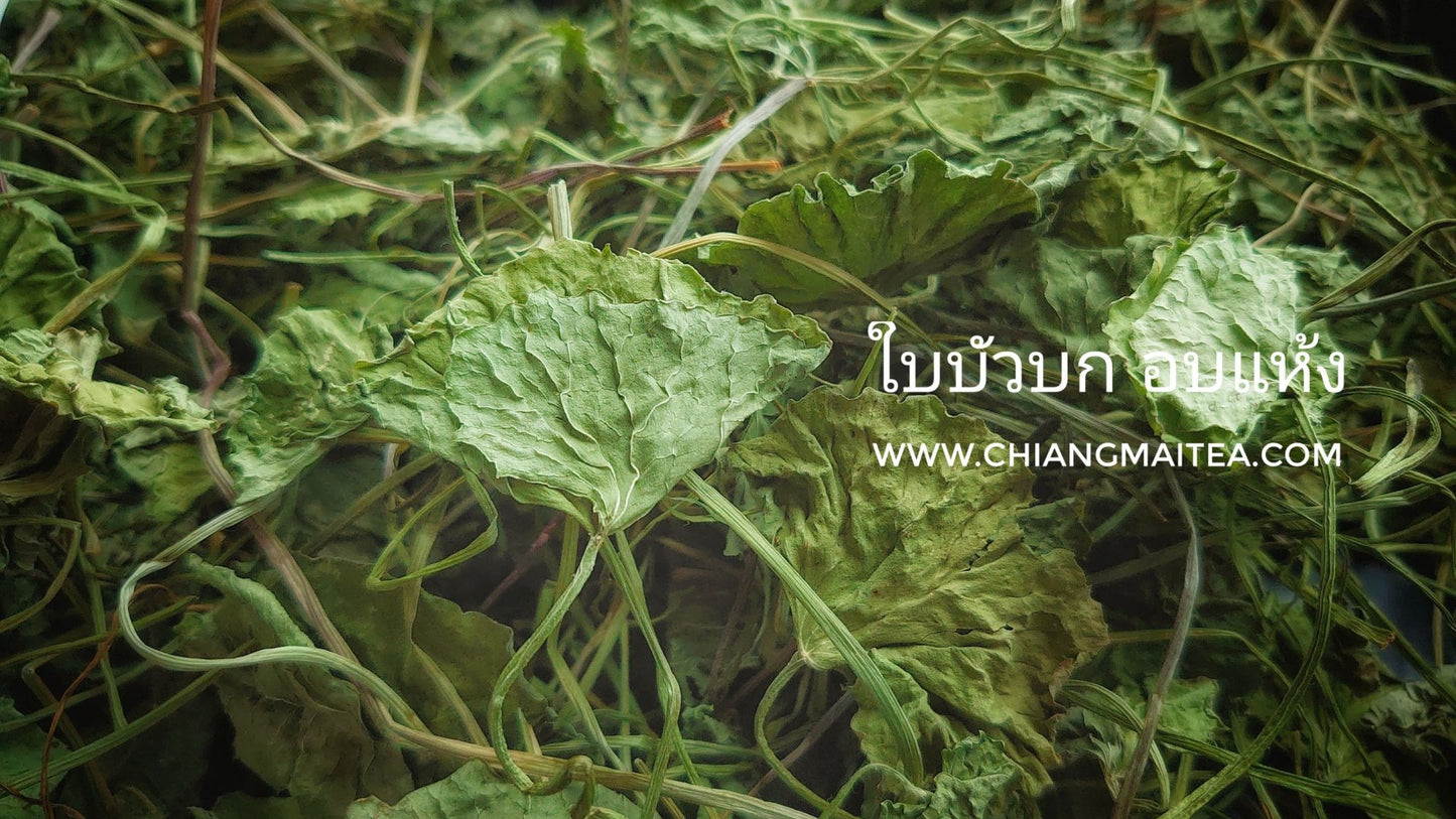 Chiang Mai Tea Gotu Kola Centella Asiatica Herbal Tea Relaxation 1 kg