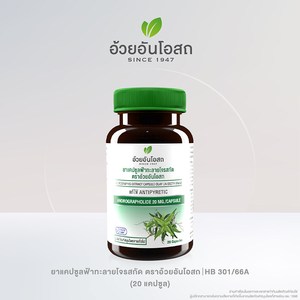 Ouay Un Osoth Andrographis 200mg 20mg Andrographolide for Everyday Wellness 45 Capsules