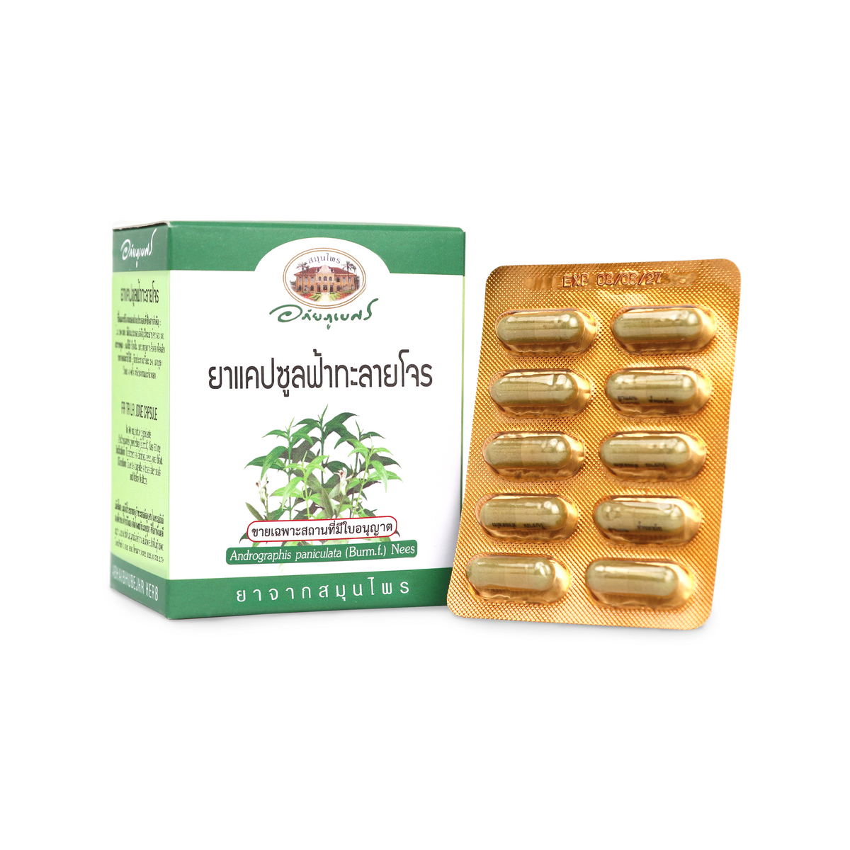 Abhaibhubejhr Andrographis Capsules 500mg 60 Capsules