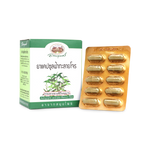 Abhaibhubejhr Andrographis Capsules 500mg 60 Capsules