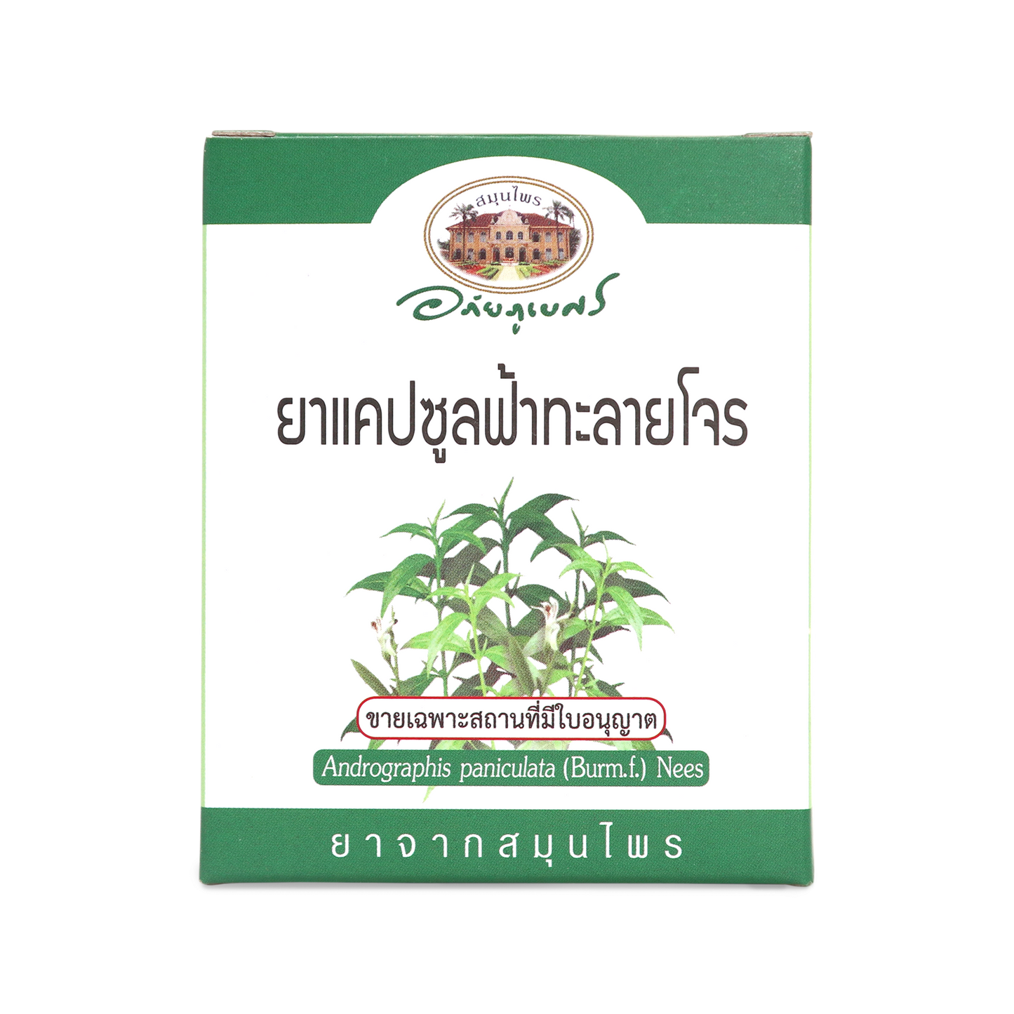 Abhaibhubejhr Andrographis Capsules 500mg 60 Capsules
