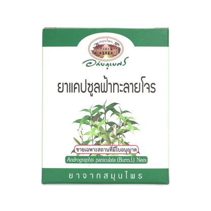 Abhaibhubejhr Andrographis Capsules 500mg 60 Capsules