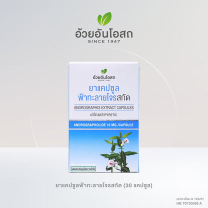 Ouay Un Osoth Andrographis 200mg 10mg Andrographolide for Cooling Herbal Support 60 Capsules