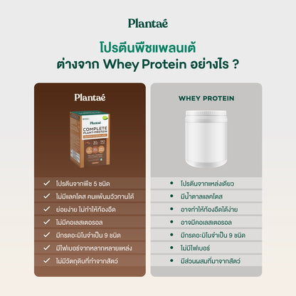 Plantae Complete Plant Protein Dutch Chocolate Powder Box for Muscle Recovery