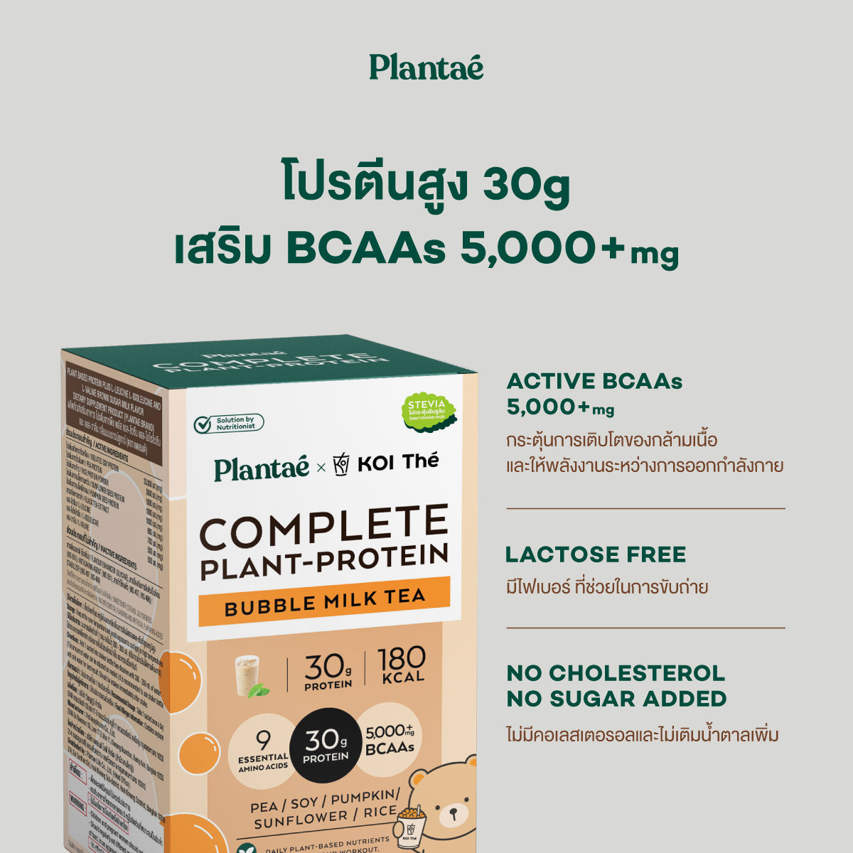 Plantae Complete Plant Protein Bubble Milk Tea Powder Box for Muscle Recovery