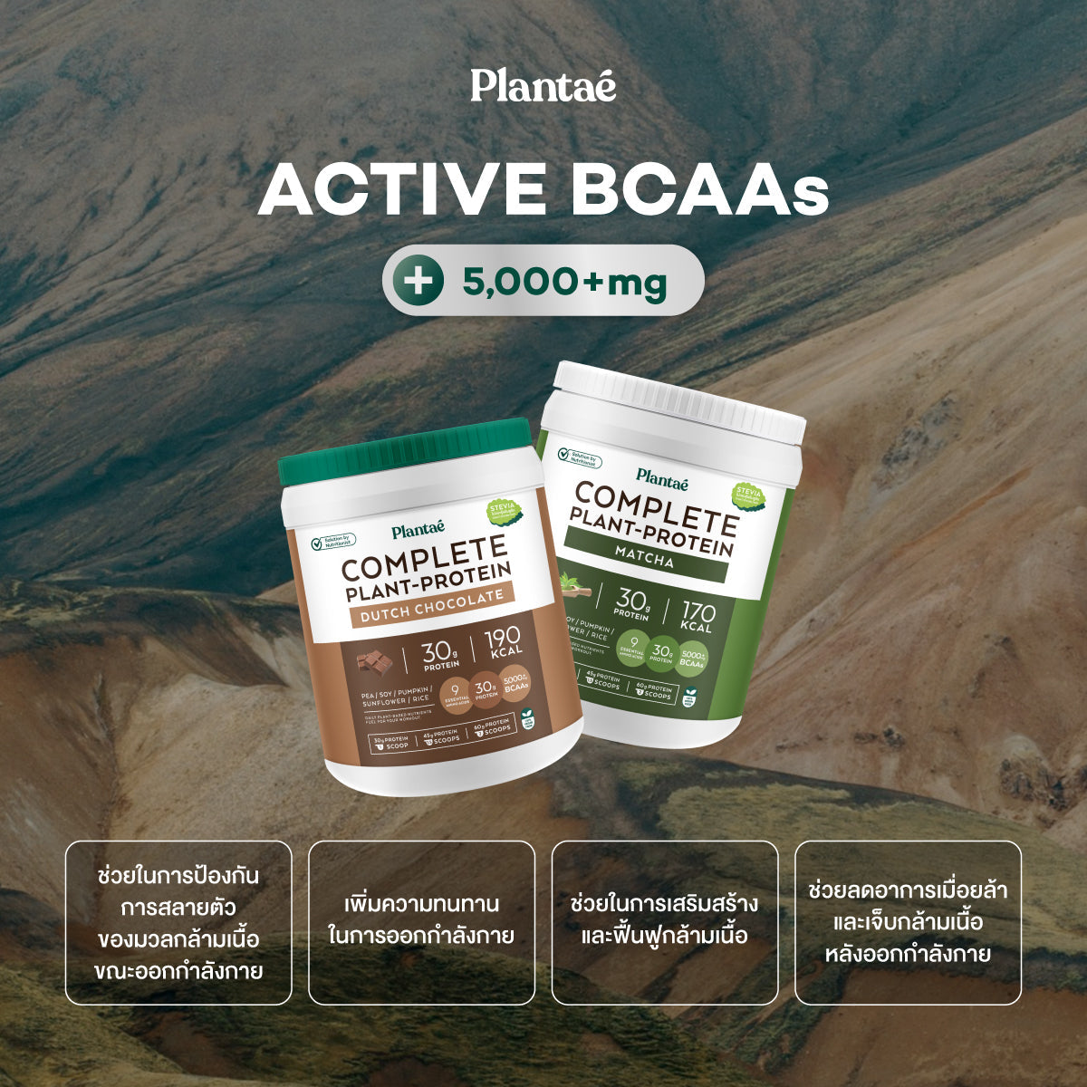 Plantae Complete Plant Protein Bubble Milk Tea Powder Box for Muscle Recovery