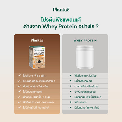 Plantae Complete Plant Protein Bubble Milk Tea Powder Box for Muscle Recovery