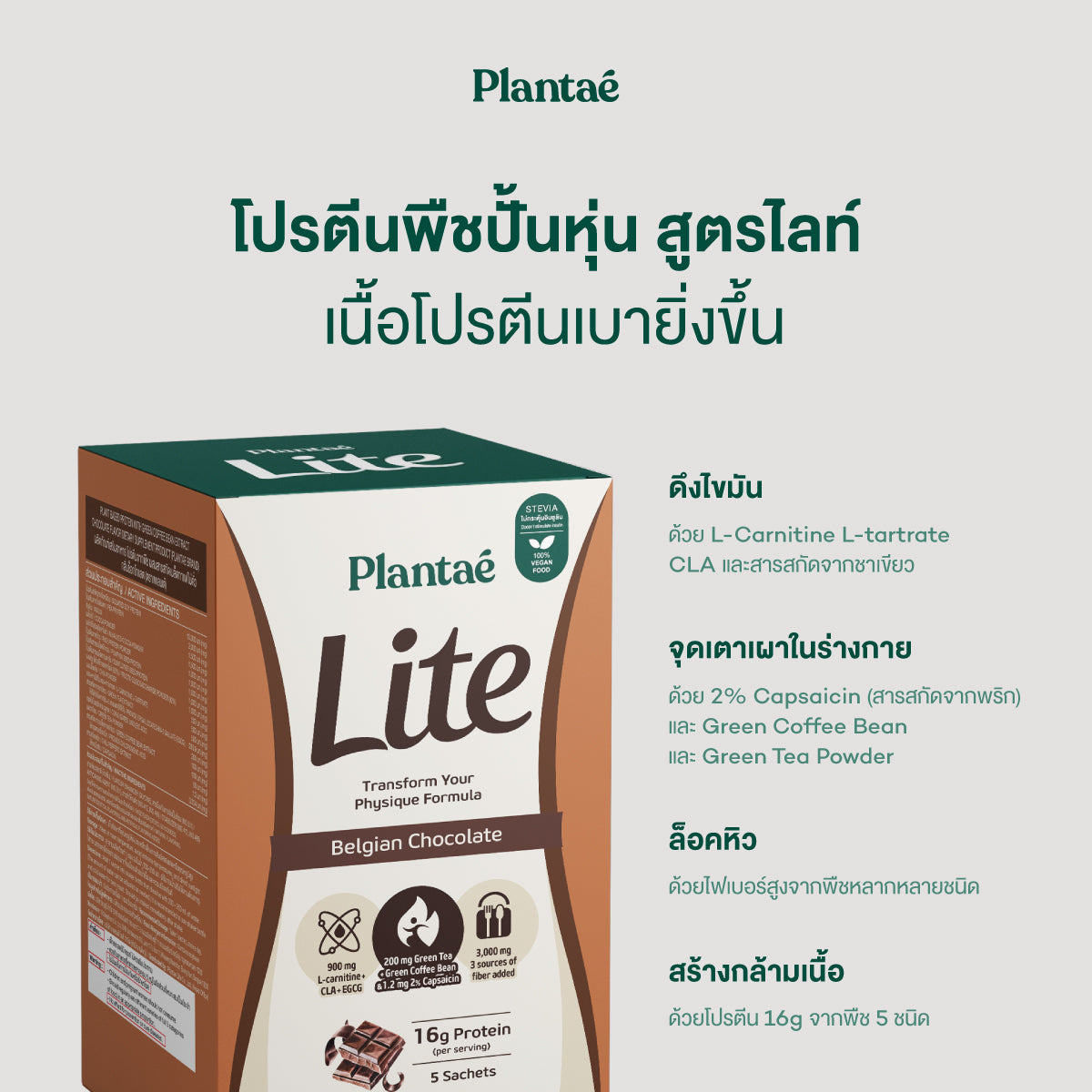 Plantae Lite Protein Belgian Chocolate Drink Powder Box for Weight Management