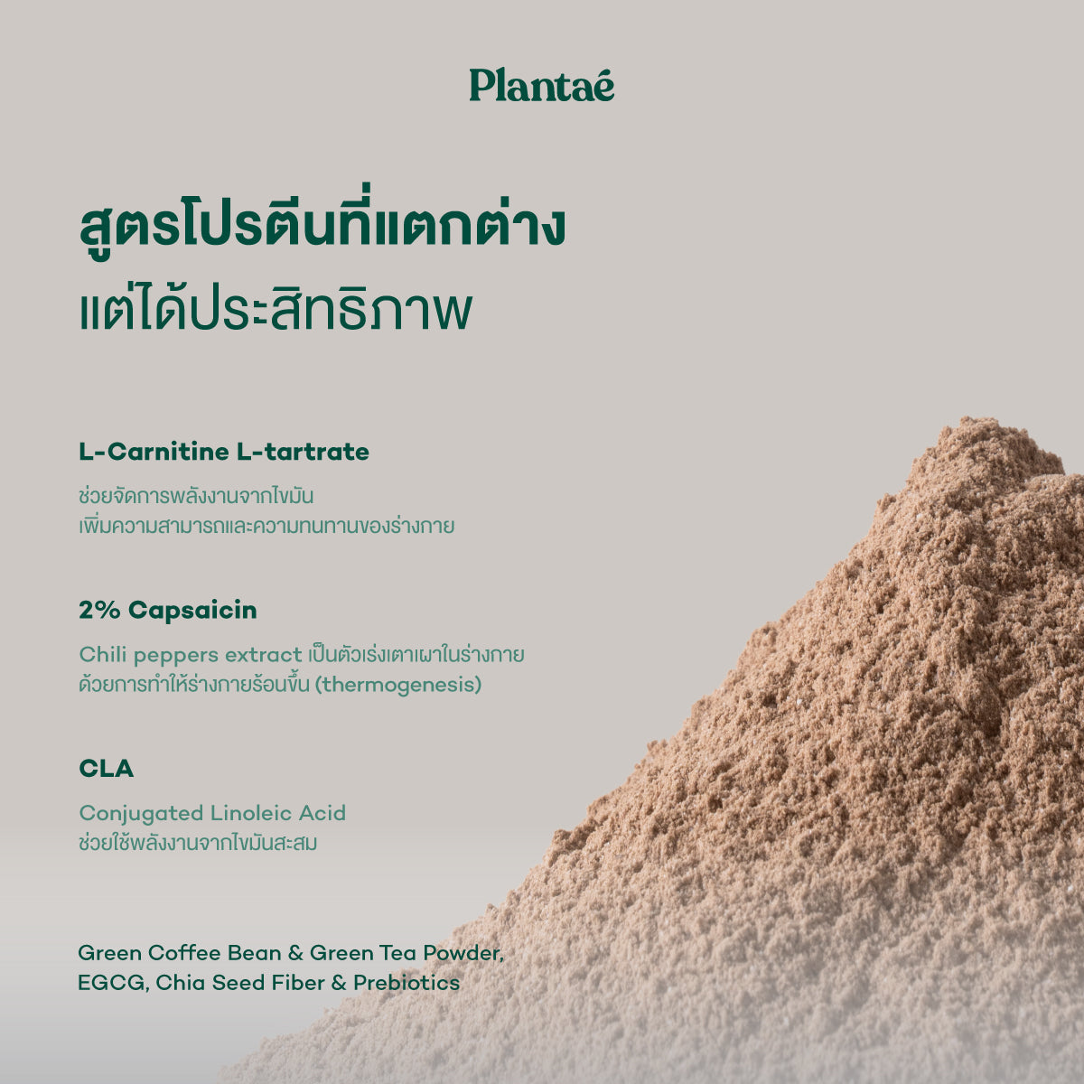 Plantae Lite Protein Belgian Chocolate Drink Powder Box for Weight Management