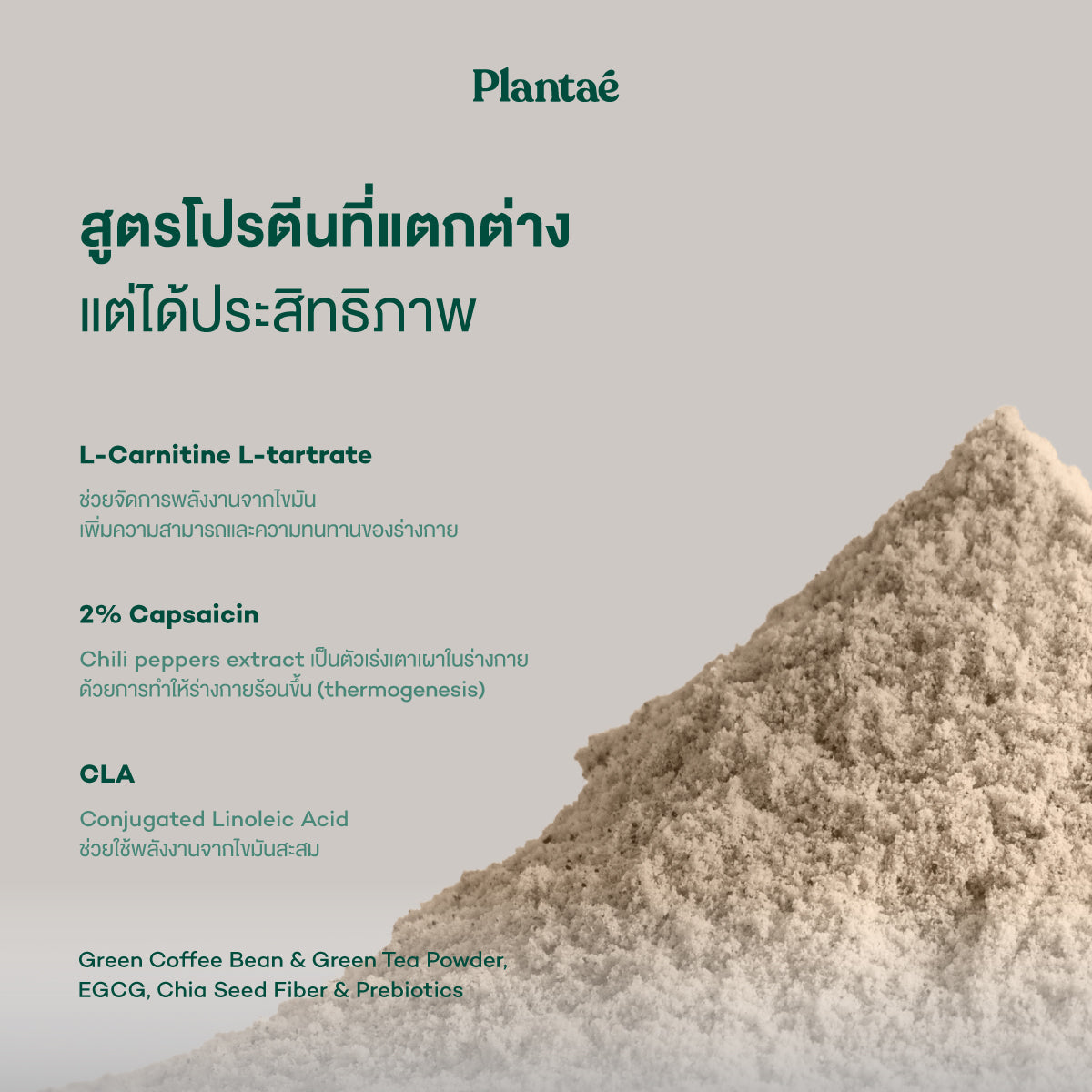 Plantae Lite Protein Tropical Blend Plant Based Powder for Weight Management
