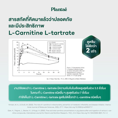 Plantae Lite Protein Tropical Blend Plant Based Powder for Weight Management