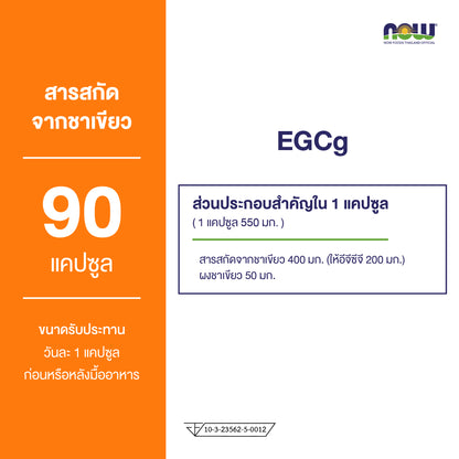 NOW Foods Green Tea Extract 400mg 90 Veg Capsules