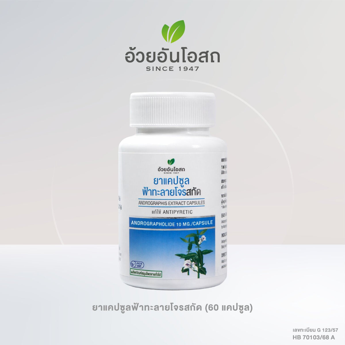 Ouay Un Osoth Andrographis 200mg 10mg Andrographolide for Cooling Herbal Support 30 Capsules