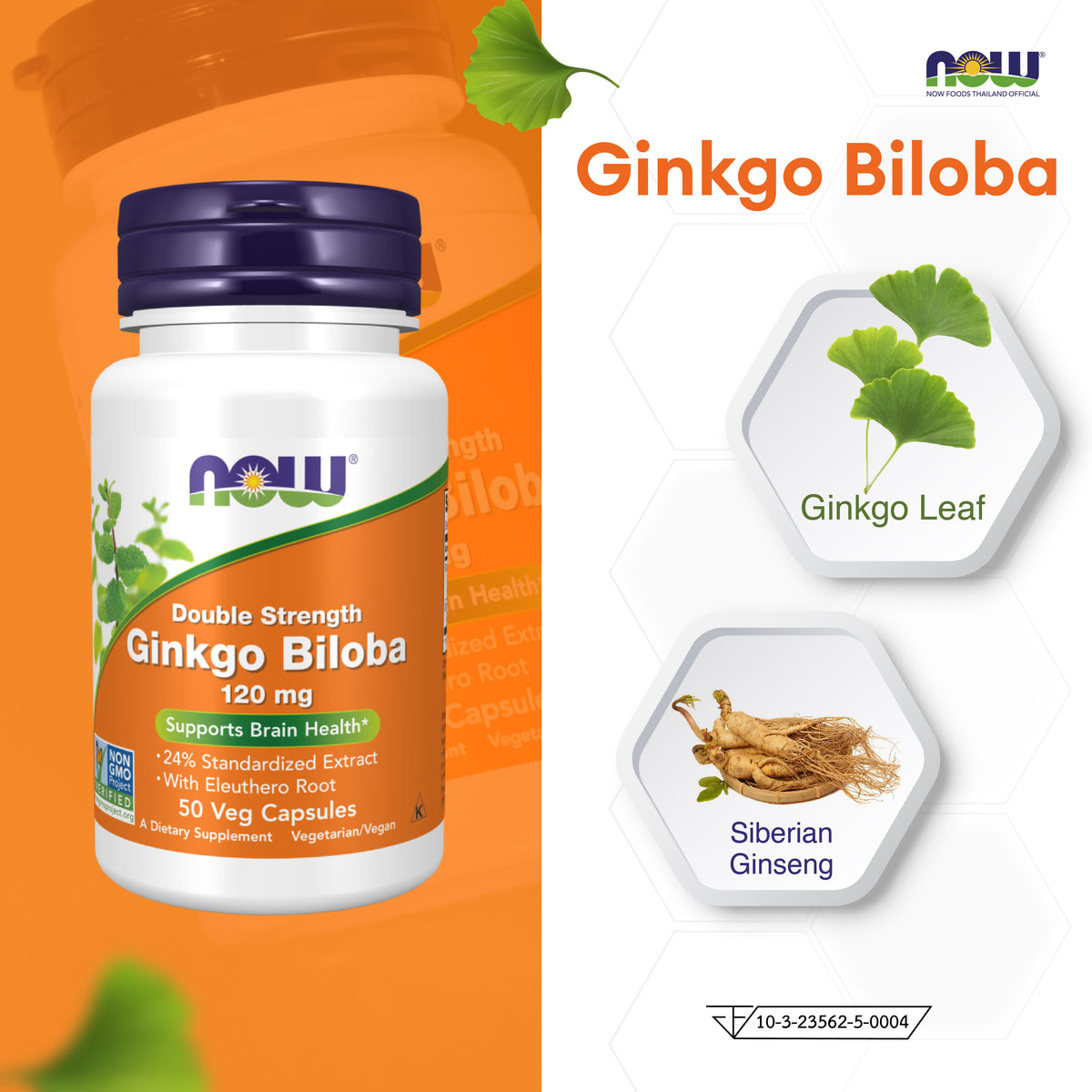 NOW Foods Ginkgo Biloba Double Strength 120mg for Memory and Circulation Support 50 Veg Capsules