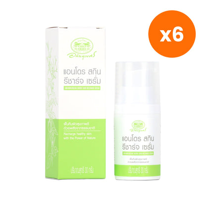 Abhaibhubejhr Andro Andrographis Recharge Serum 30 g