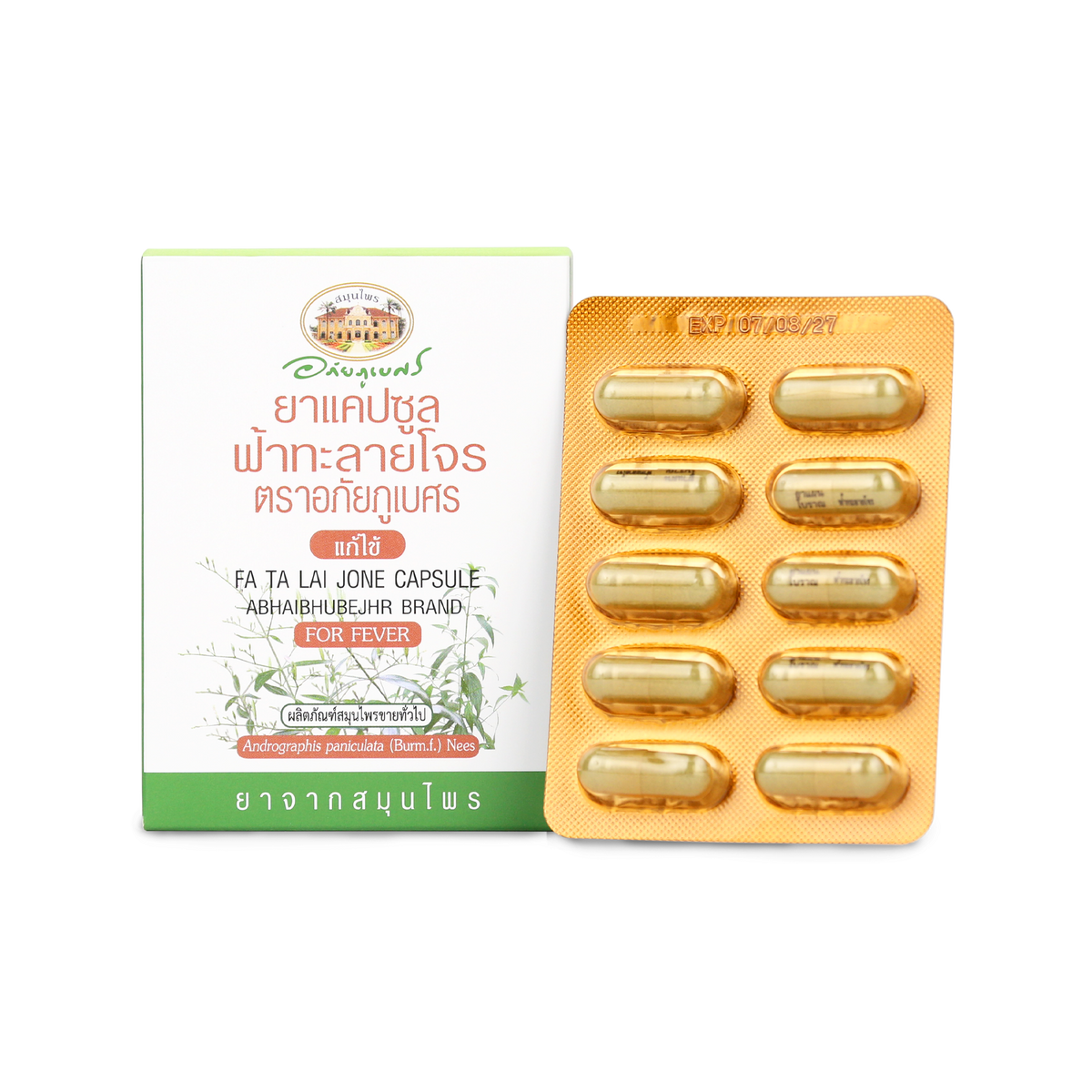 Abhaibhubejhr Andrographis Capsules — 10 Capsules