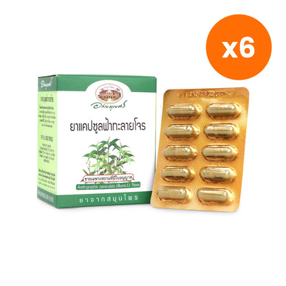 Abhaibhubejhr Andrographis Capsules 500mg 60 Capsules