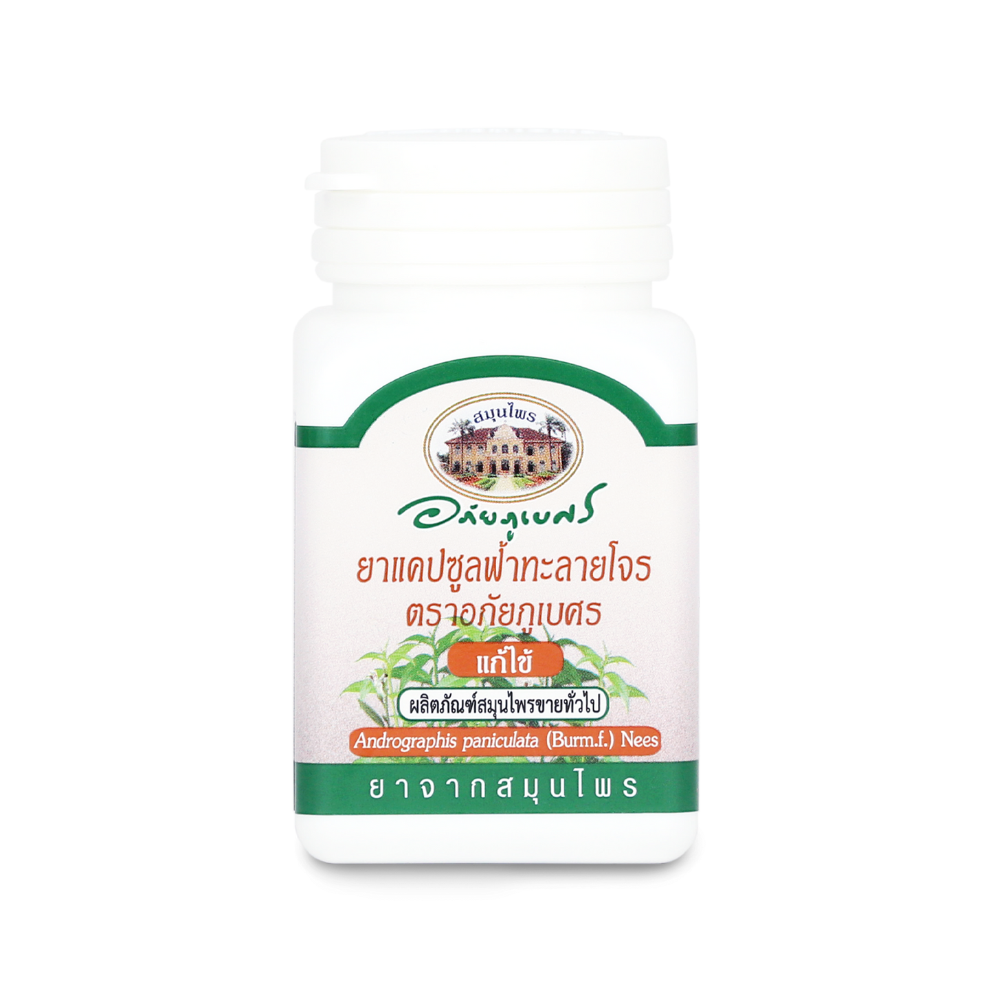 Abhaibhubejhr Andrographis Capsules — 60 Capsules