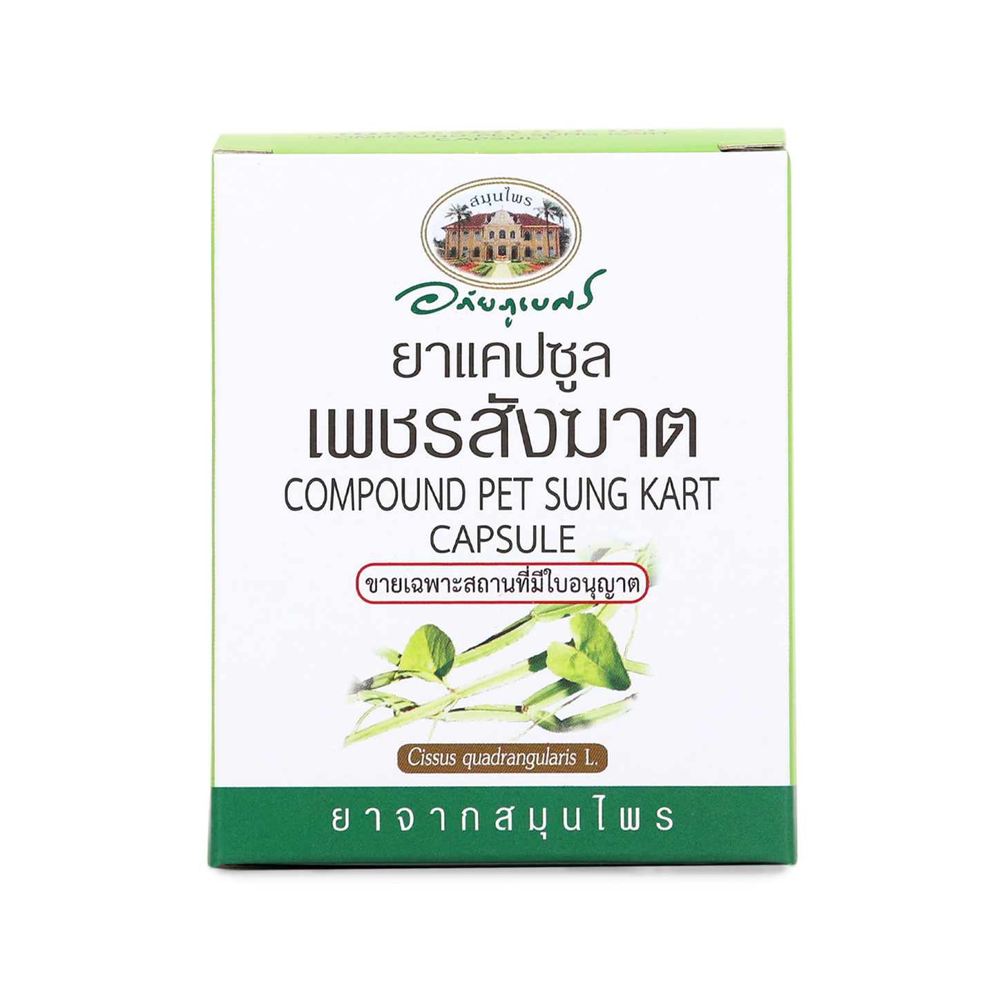 Abhaibhubejhr Cissus Quadrangularis Capsules — 60 Capsules (6 Strips)