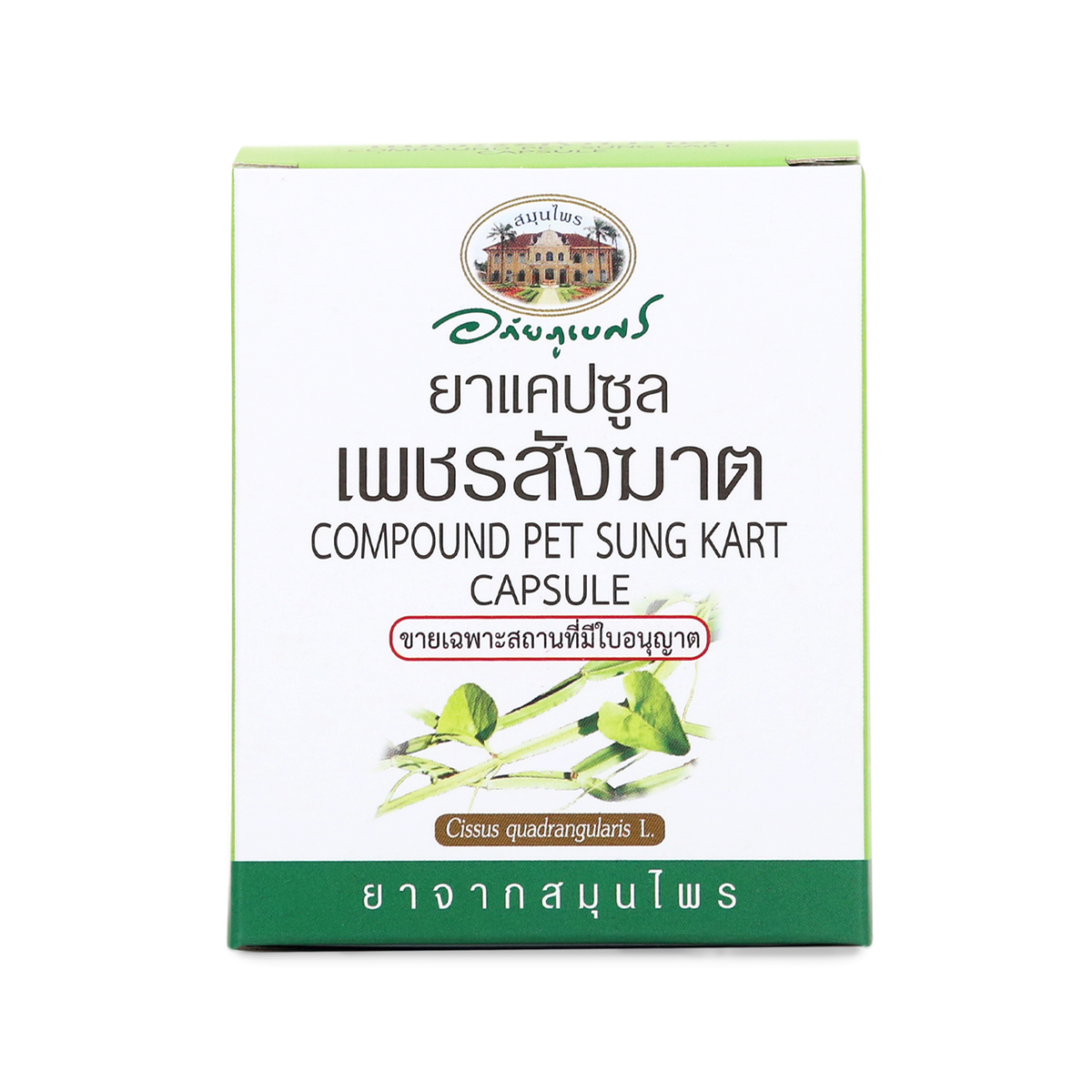Abhaibhubejhr Cissus Quadrangularis Capsules — 60 Capsules (6 Strips)