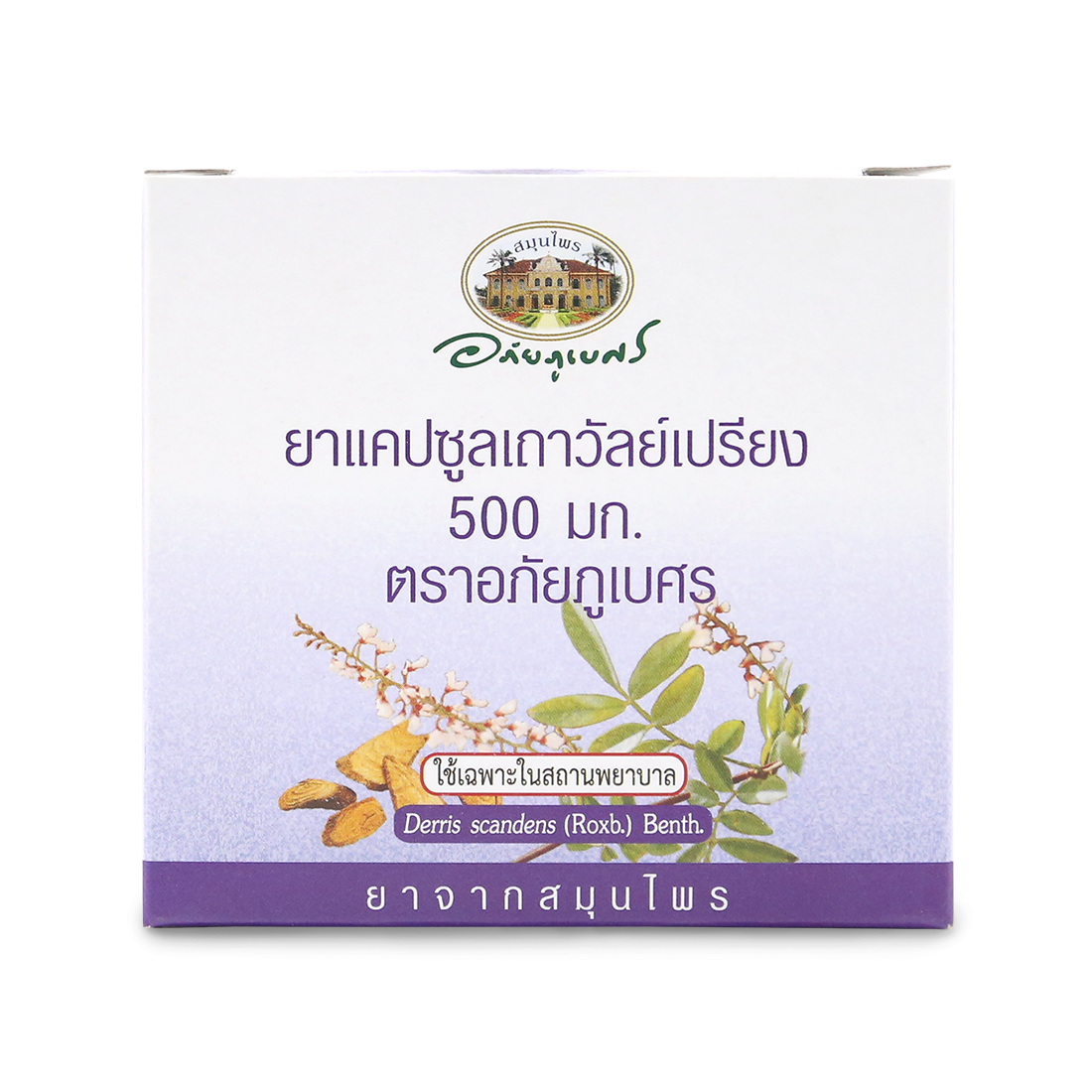 Abhaibhubejhr Derris Scandens Capsules 500mg — 100 Capsules (10 Strips)