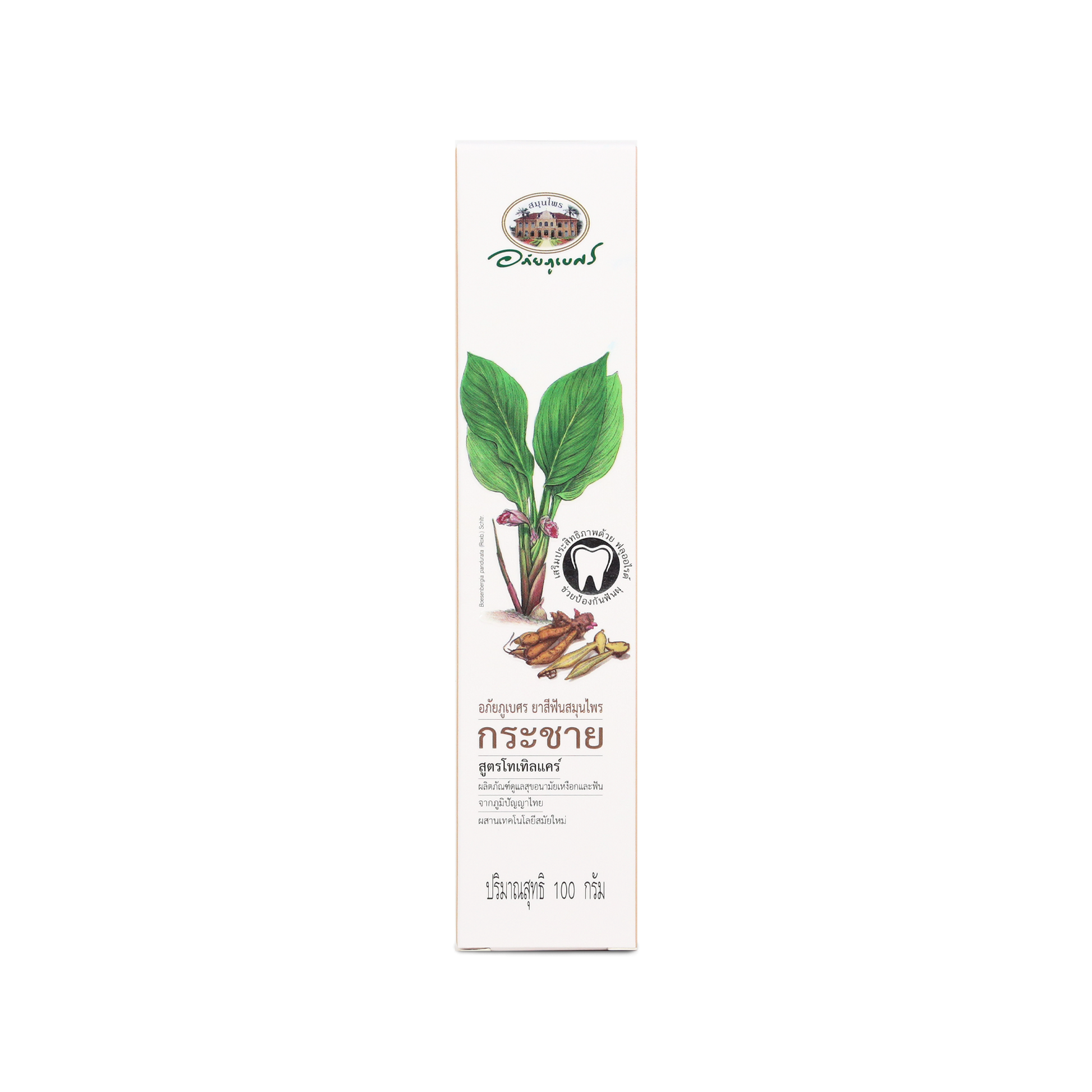 Abhaibhubejhr Fingerroot Total Care Herbal Toothpaste — 100 g