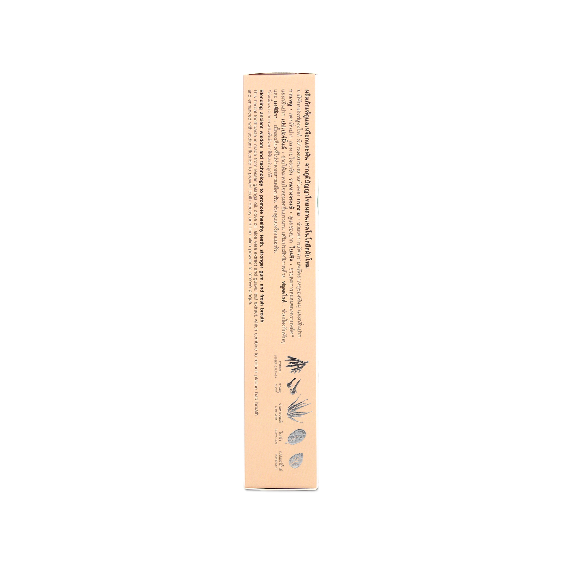 Abhaibhubejhr Fingerroot Total Care Herbal Toothpaste — 100 g