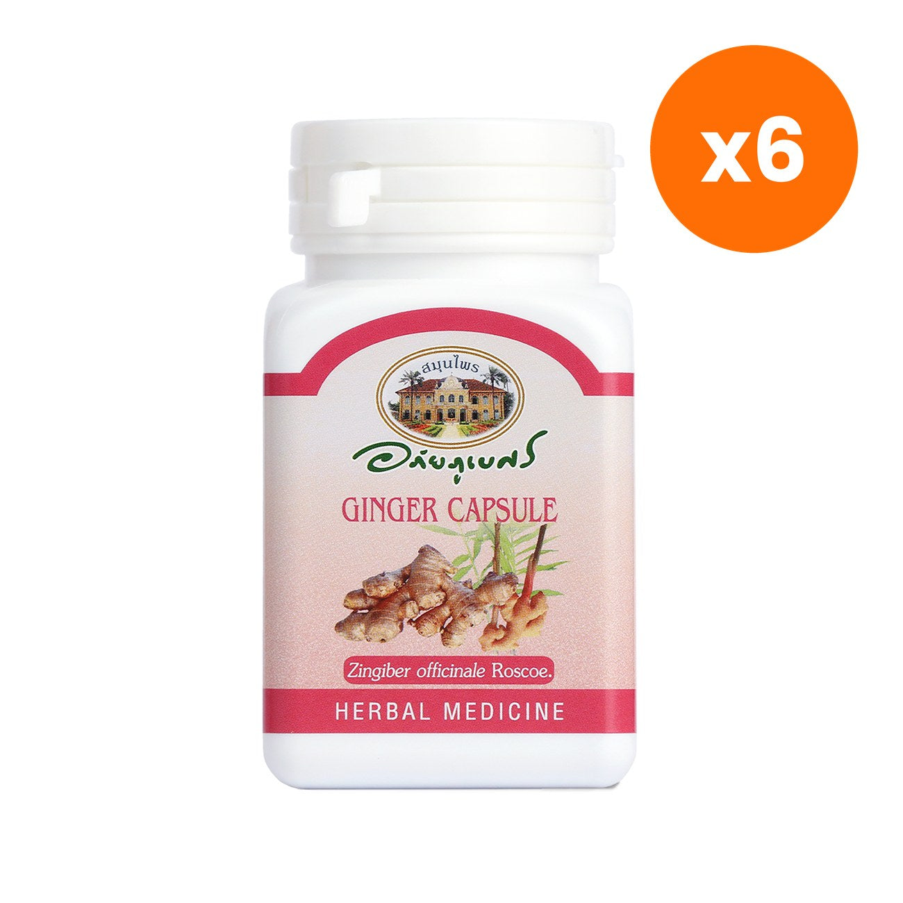 Abhaibhubejhr Ginger Capsules 70 Capsules