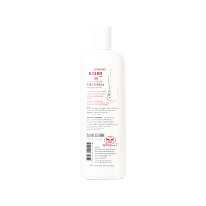 Abhaibhubejhr Ginger Shampoo for Oily Hair — 300 ml