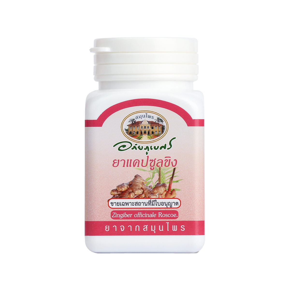 Abhaibhubejhr Ginger (Zingiber Officinale) Capsules — 70 Capsules