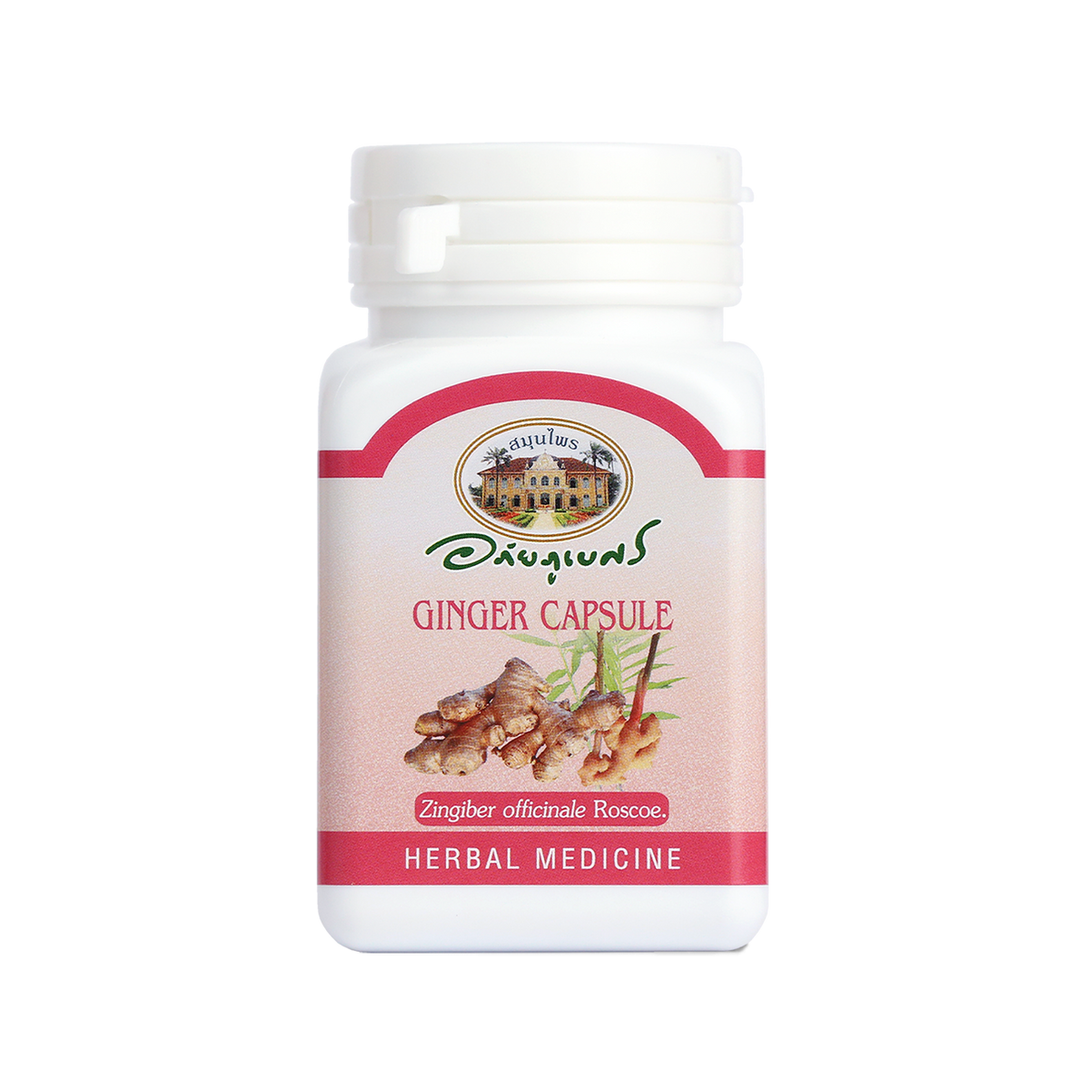 Abhaibhubejhr Ginger (Zingiber Officinale) Capsules — 70 Capsules