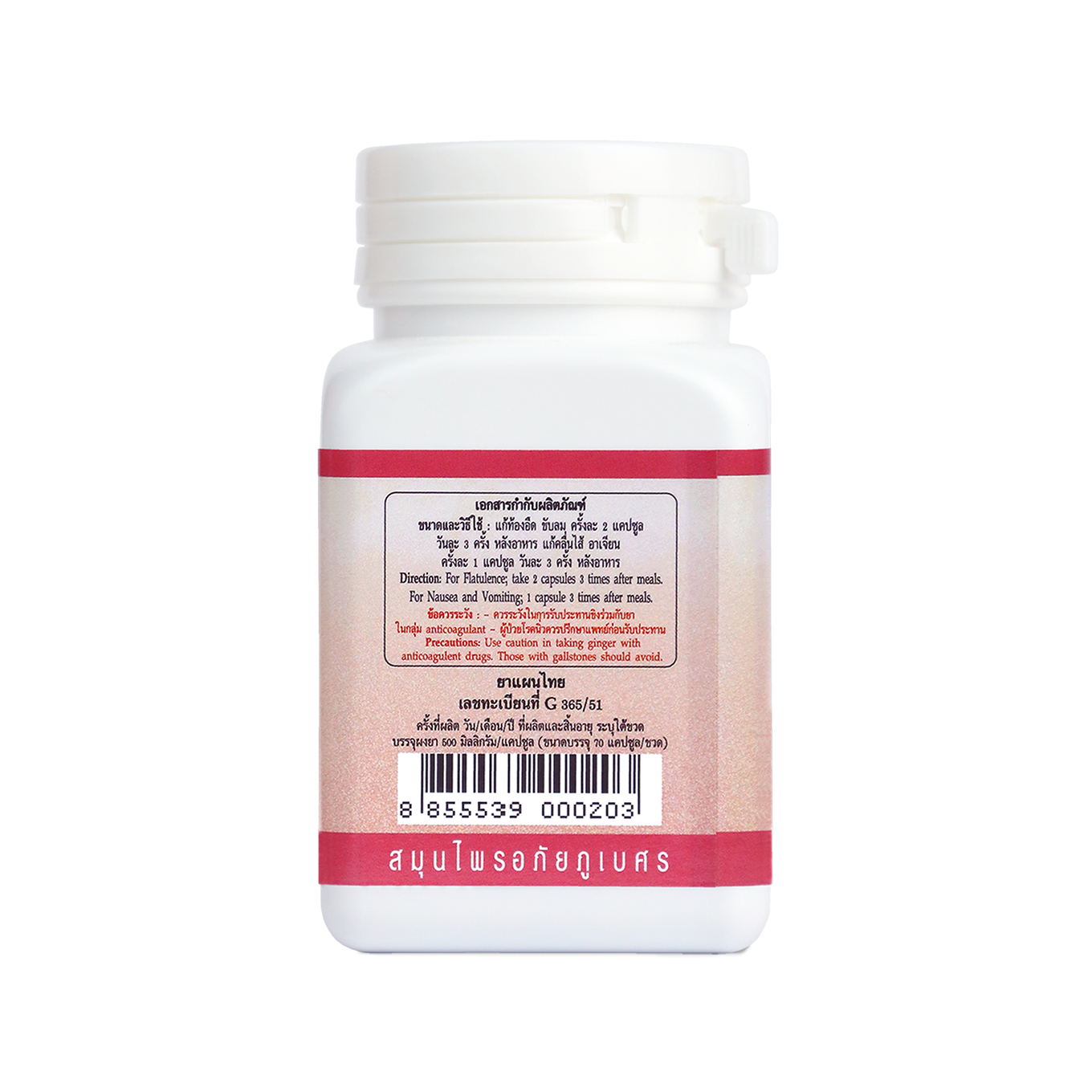 Abhaibhubejhr Ginger (Zingiber Officinale) Capsules — 70 Capsules