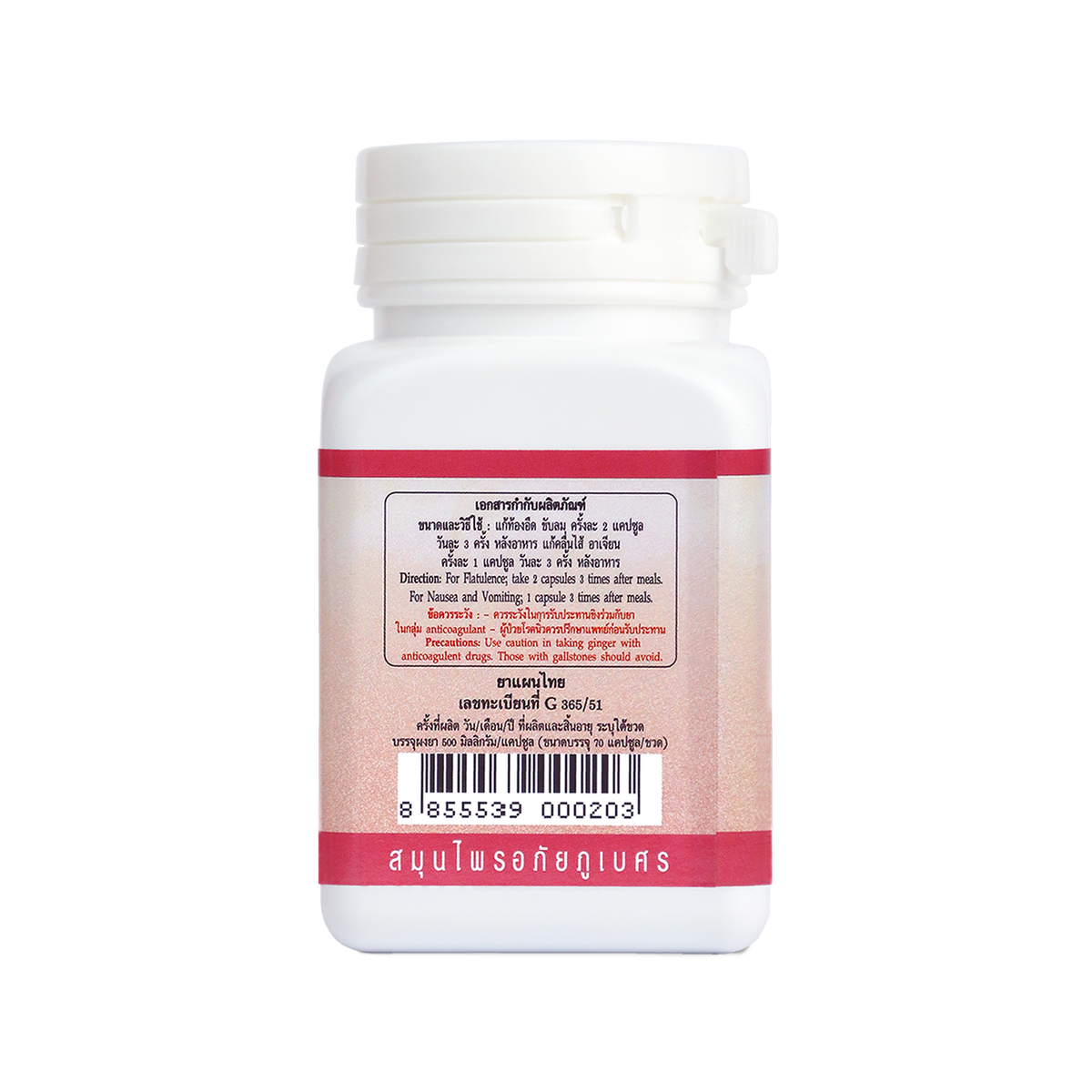 Abhaibhubejhr Ginger (Zingiber Officinale) Capsules — 70 Capsules