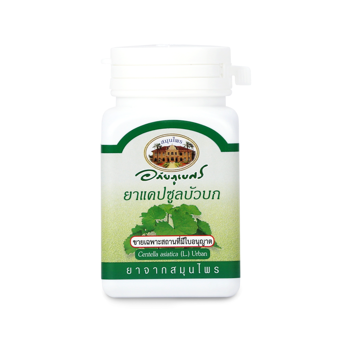 Abhaibhubejhr Gotu Kola (Centella Asiatica) Capsules — 70 Capsules