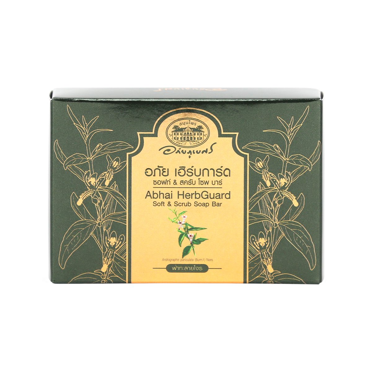 Abhaibhubejhr Herbguard Soft and Scrub Soap Bar — 100 g