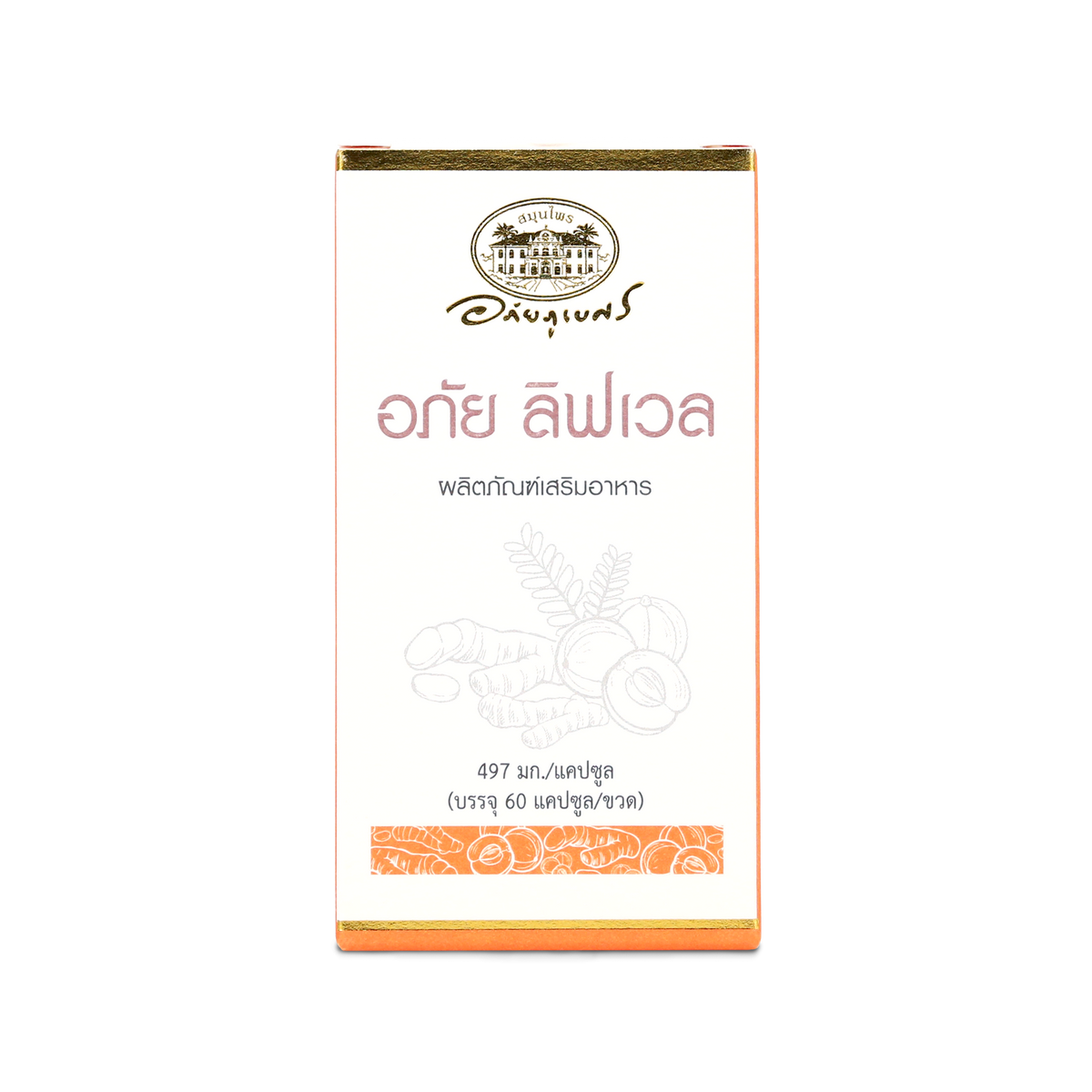 Abhaibhubejhr Livwell Turmeric and Amla Capsules — 60 Capsules