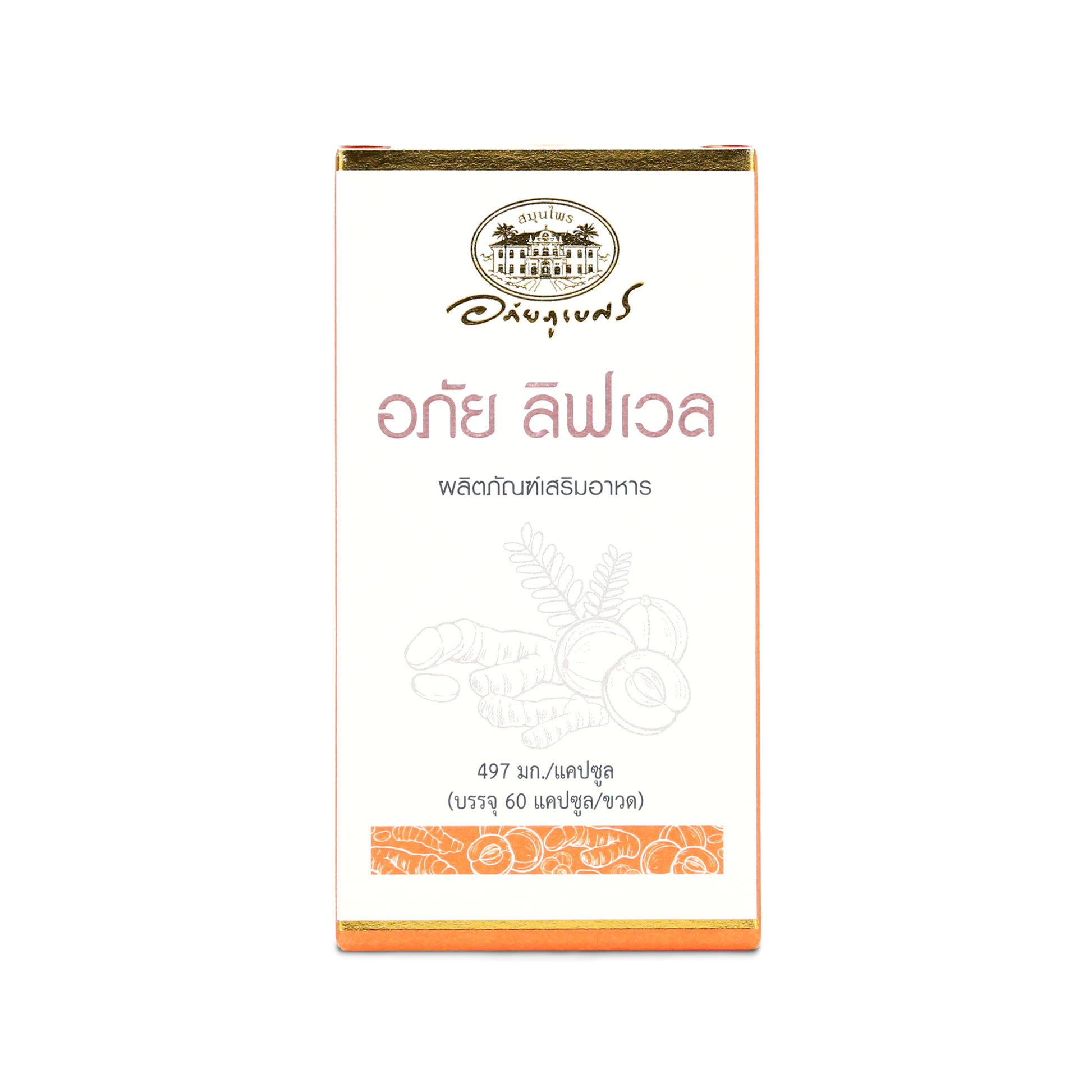 Abhaibhubejhr Livwell Turmeric and Amla Capsules — 60 Capsules