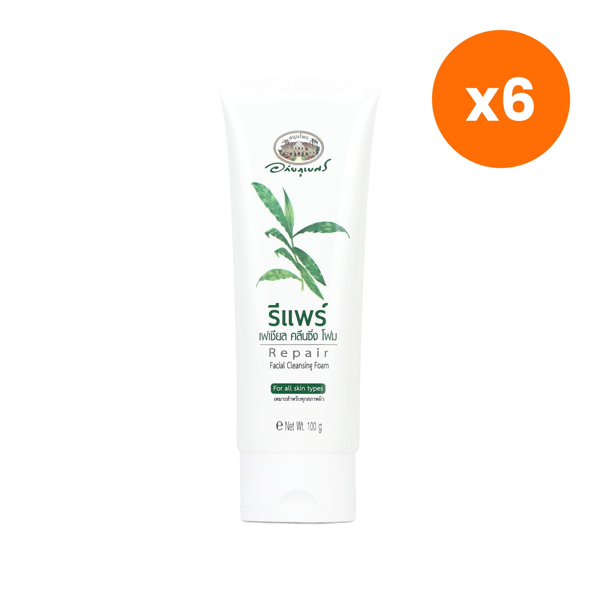 Abhaibhubejhr Repair Facial Cleansing Foam 100 g