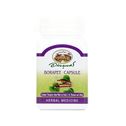 Abhaibhubejhr Tinospora Crispa Herbal Capsules — 70 Capsules